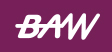 Baw Electric